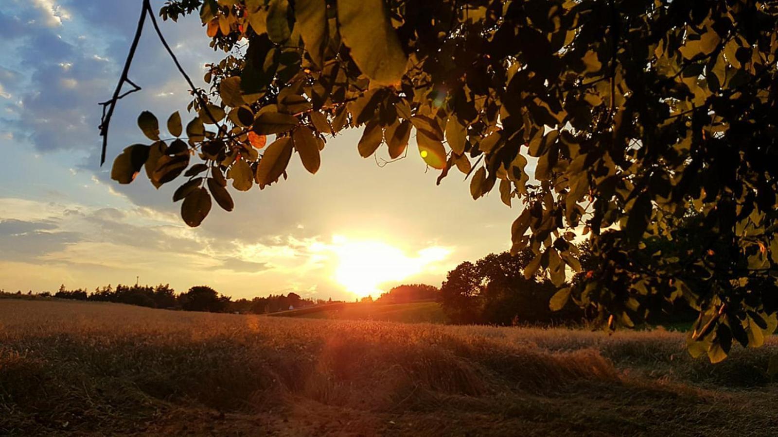 Ferienwohnung "Haus Falle" Schiefling am See Exteriör bild